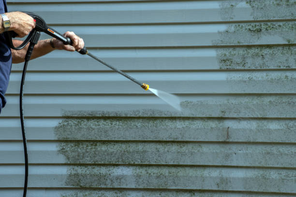 Best Fence Cleaning  in Vandercook Lake, MI